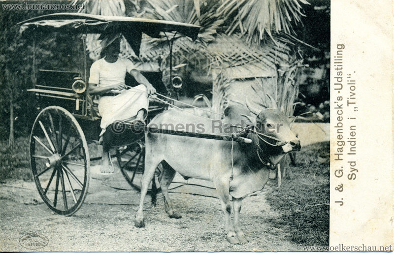 1904 J. & G. Hagenbeck's Udstilling Syd Indien i 