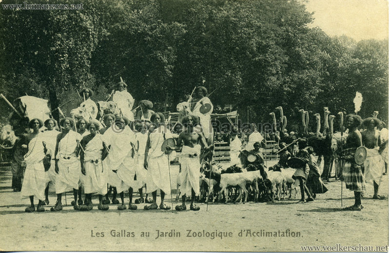1908 Les Gallas - Jardin d'Acclimatation - 5