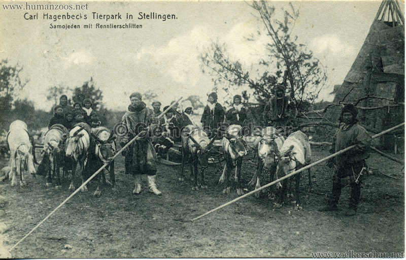 1911 Samojeden Völkerschau (Hagenbeck) - 417. 