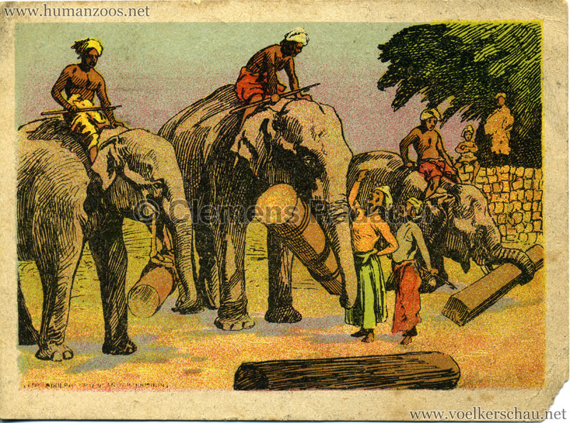 1911/1912 Gustav Hagenbeck's größte Indische Völkerschau der Welt VS