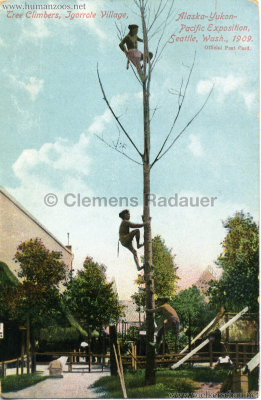 5347. Tree Climbers, Igorrote Village