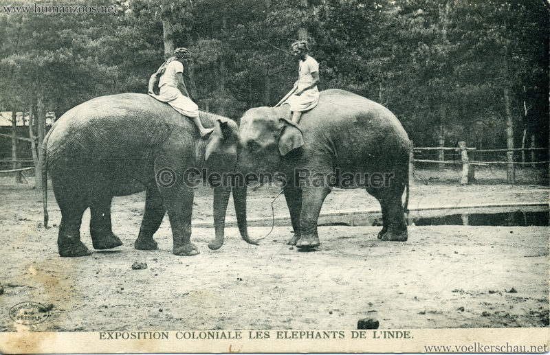 Exposition Coloniale - Les Elephants de l'Inde 1