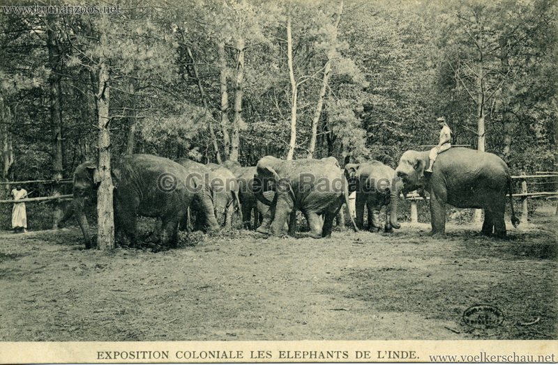Exposition Coloniale - Les Elephants de l'Inde 3