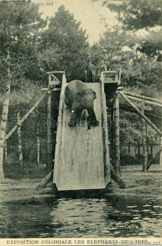 Exposition Coloniale - Les Elephants de l'Inde 4