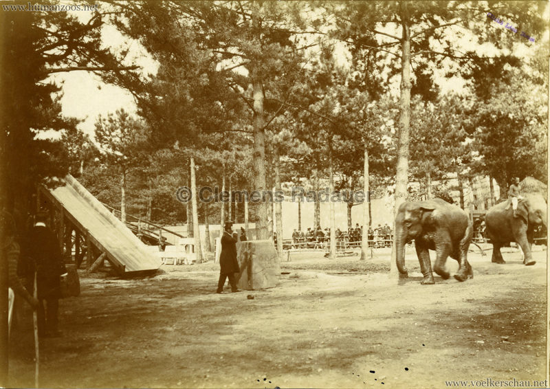 1907 Exposition Coloniale Paris, Bois de Vincennes - FOTO - Elephants 1