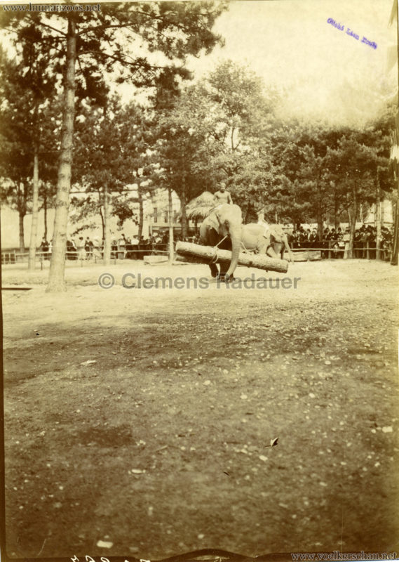 1907 Exposition Coloniale Paris, Bois de Vincennes - FOTO - Elephants 2