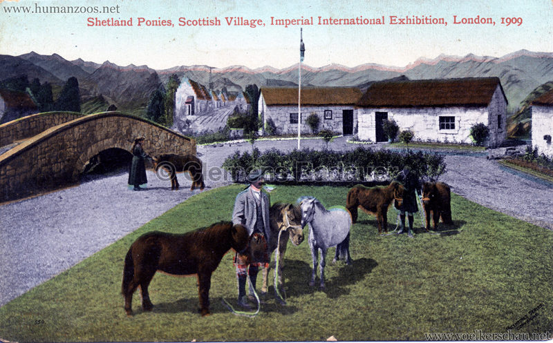 1909 Imperial International Exhibition - Scottish Village - Shetland Ponies 1