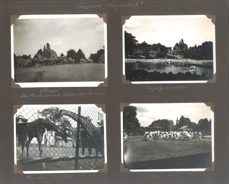 1929 Tierpark Hagenbeck FOTOS - Völkerschau