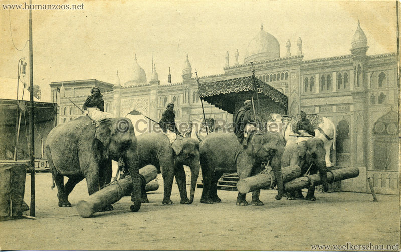 1910:1911:1912 Gustav Hagenbeck's grösste indische Völkerschau der Welt - Elefanten VS