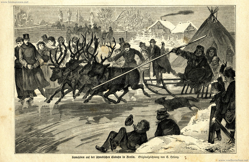 1883 Nr. 20 - Ueber Land und Meer - Samojeden auf der schwedischen Eisbahn in Berlin 1