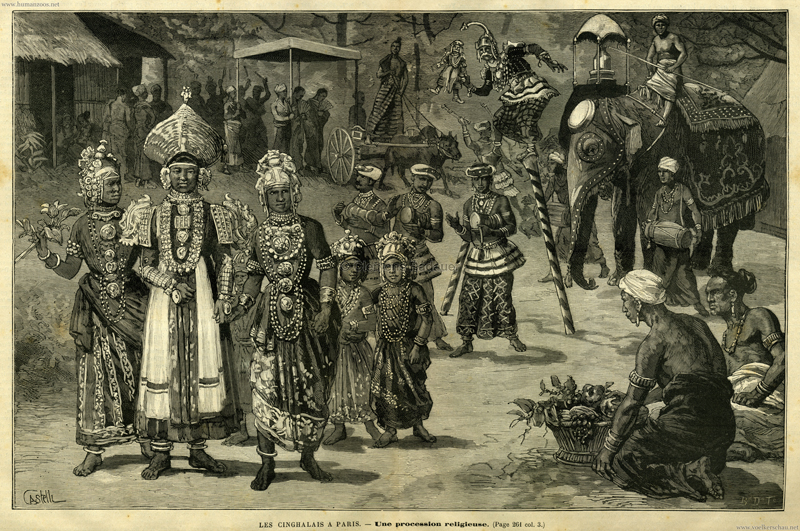 1886 Singhalesen/Cinghalais/Cynghalais Human Zoos