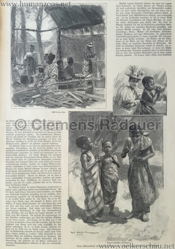 1897.09.05 Illustrirte Zeitung No. 2823 S. 189 - Die Aschanti im wiener Thiergarten S. 191