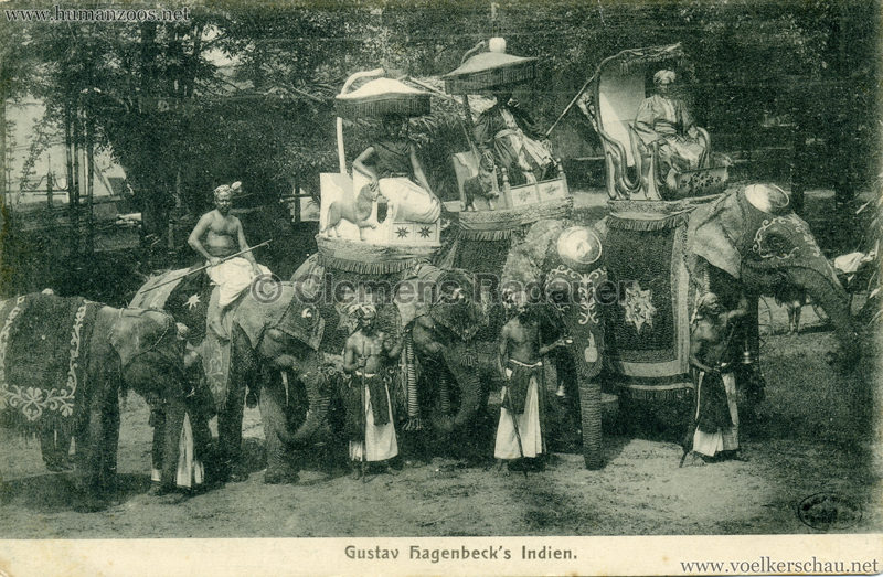 1905/1906 Gustav Hagenbecks Indien - 3 Elephanten VS