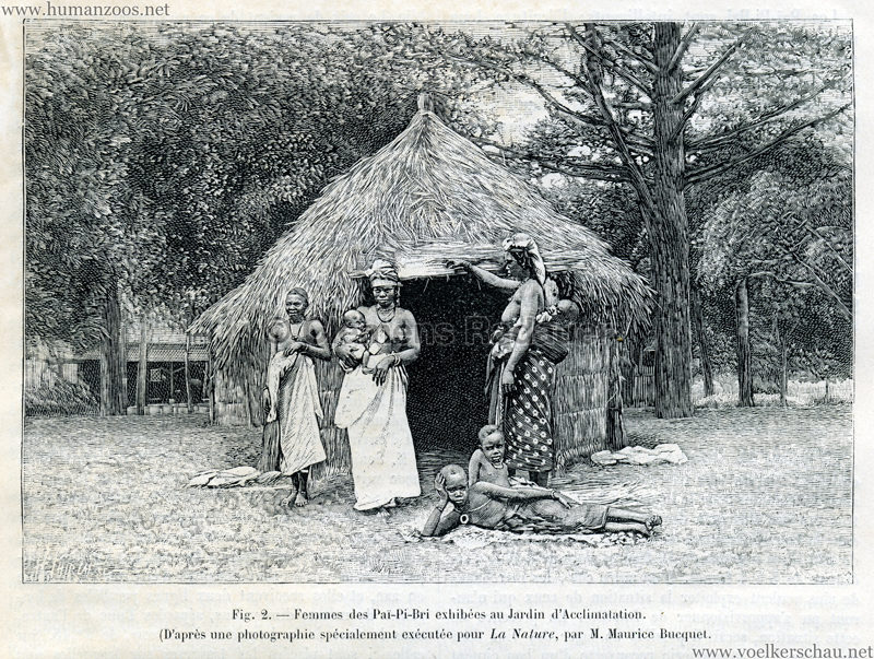 1893.09.19 La Nature No 1055 - Les Pai-Pi-Bri du Jardin d'Acclimatation Illustration 2