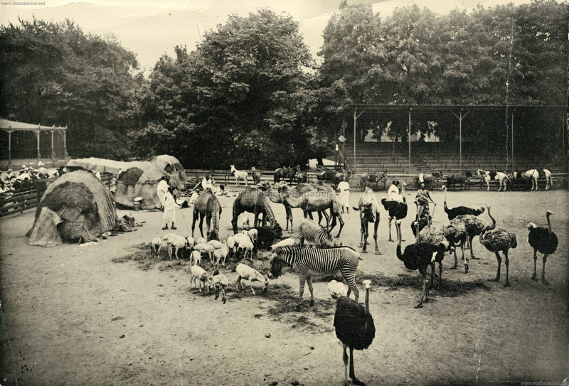 1908 Carl Hagenbeck's Galla-Truppe FOTO 1