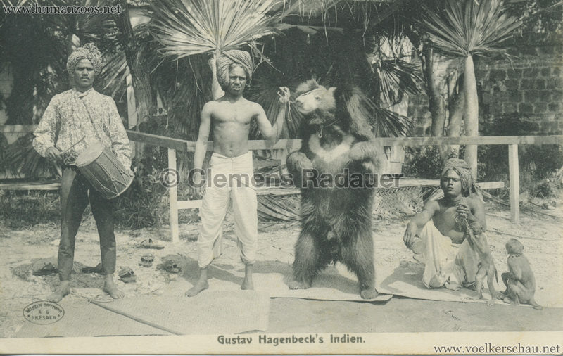 1905/1906 Gustav Hagenbecks Indien - Kragenbären