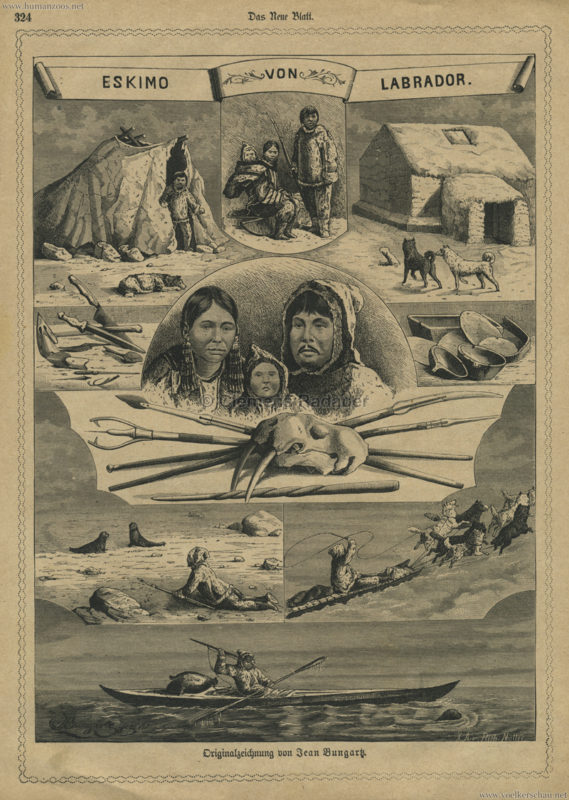 1881 Das Neue Blatt - Eskimo von Labrador