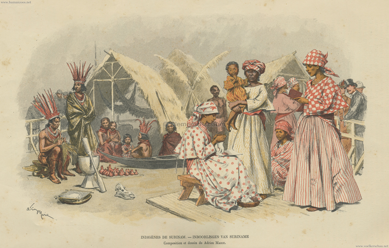 1883.07 Paris Illustration - Exposition d'Amsterdam - Indigens de Surinam