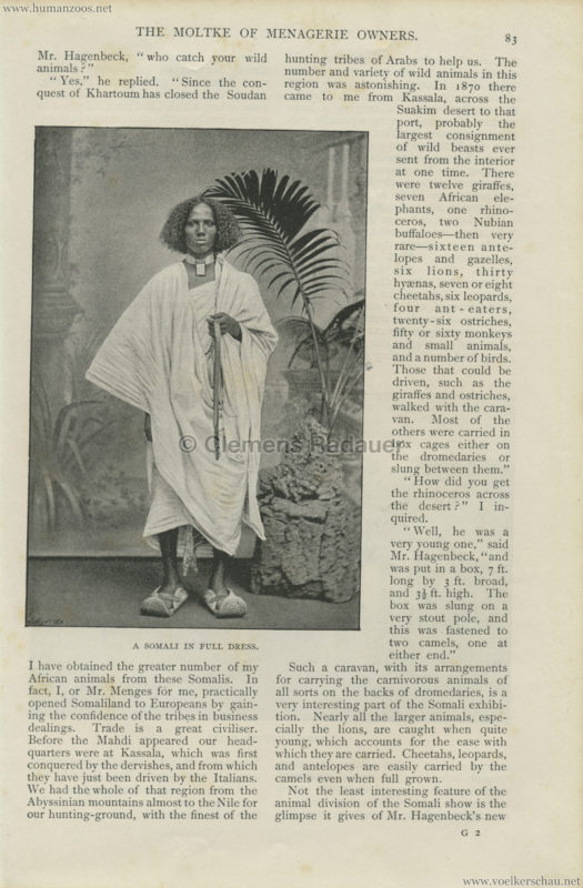 1895 English Illustrated Magazine - Somaliland Crystal Palace Hagenbeck 2