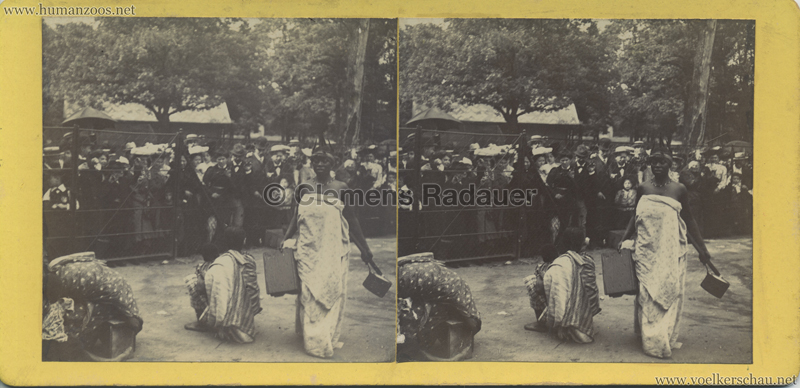 1903 Les Achantis Jardin d'Acclimatation STEREO 2