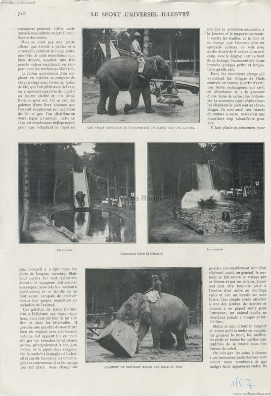 1907 Le Sport Universel Illustre - Les Elephants a l'Exposition 2