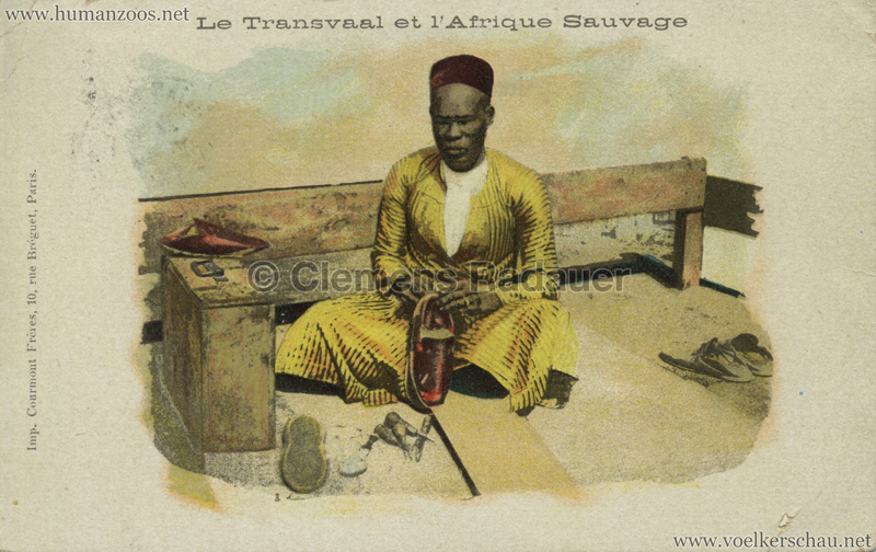 1900 Le Transvaal et l'Afrique Sauvage - Schuster