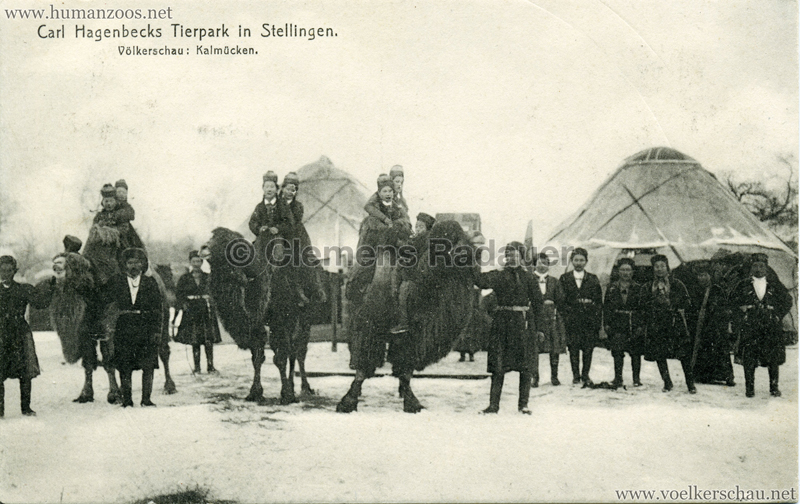 1911:1912 Carl Hagenbeck's Tierpark Völkerschau Kalmücken 1