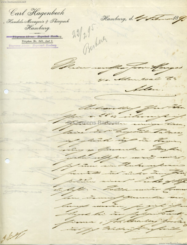 1895 Brief Hagenbeck - Menges 1