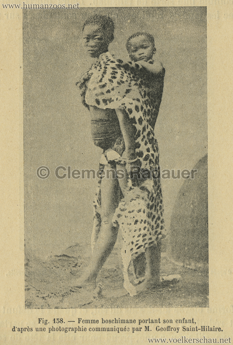 1892 Histoire Naturelle Populaire (Charles Brongniart) - Femme Boschiman