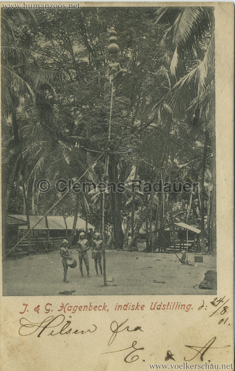 1901 J. & G. Hagenbeck, indiske Udstilling 2