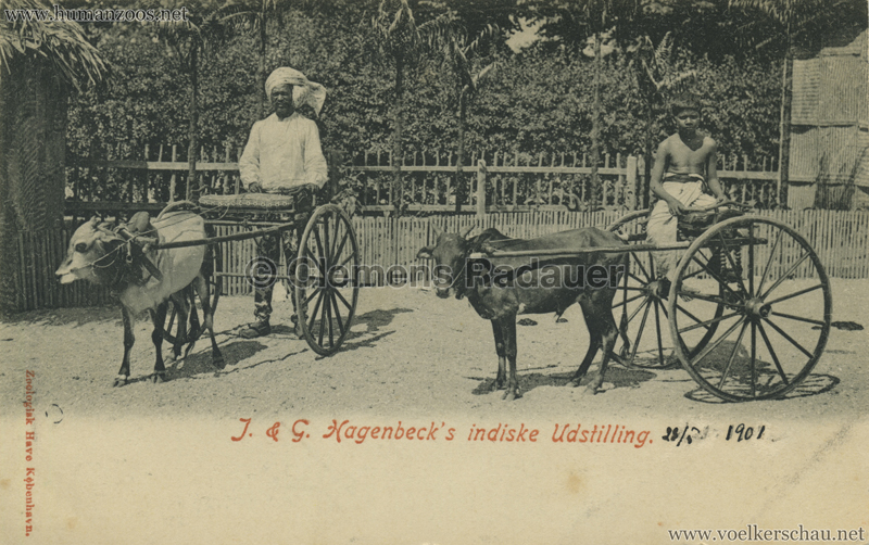 1901 J. & G. Hagenbeck, indiske Udstilling 5