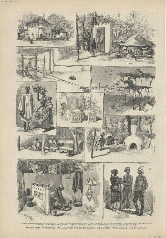 1889.10.05 Illustrirte Zeitung - S. 352 - Das senegalesische Dorf auf der Pariser Weltausstellung