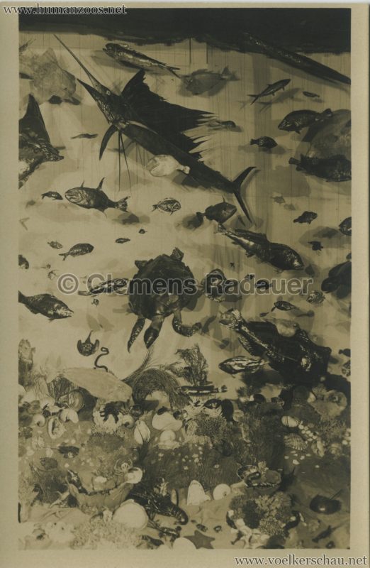 1928 Tentoonstelling Oost & West Indie Arnhem - De Moluksche zeetuin 3