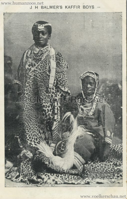 MR J H Balmer's Kaffir Boys 4