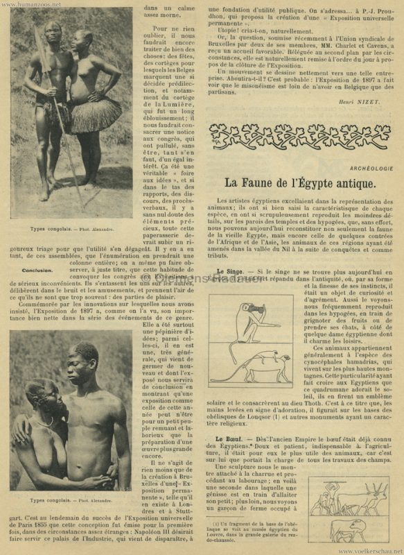 1897.10.09 Revue Encyclopedique - Exposition Coloniale Bruxelles 4