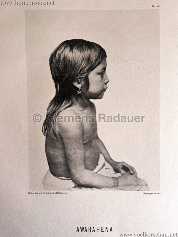 1883 International Colonial Exhibition Amsterdam - Awarahena 2