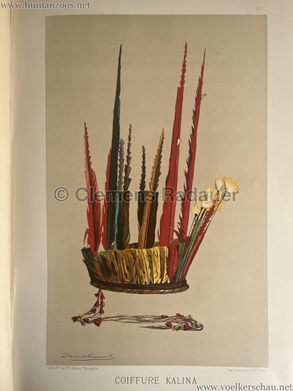 1883 International Colonial Exhibition Amsterdam - Coiffure Kalina 2