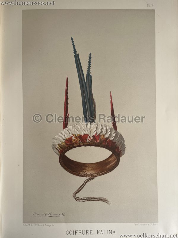 1883 International Colonial Exhibition Amsterdam - Coiffure Kalina 5