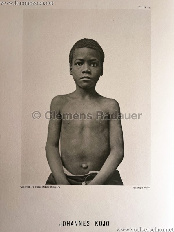 1883 International Colonial Exhibition Amsterdam - Johannes Kojo 1