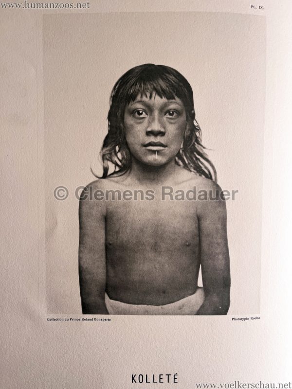 1883 International Colonial Exhibition Amsterdam - Kolleté 1