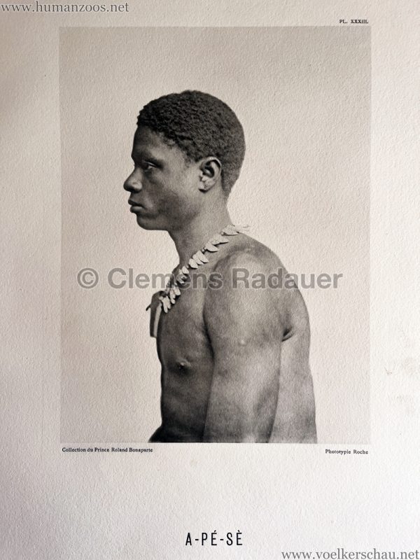 1883 International Colonial Exhibition Amsterdam - Kwamina A-Pé-Sè 2