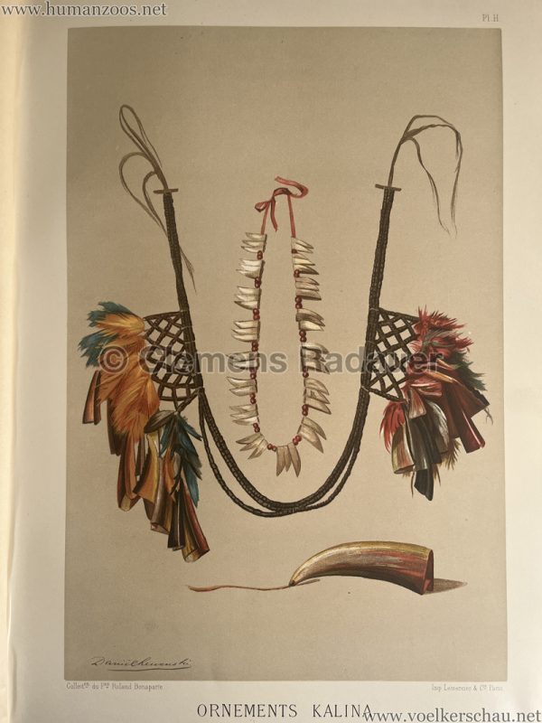1883 International Colonial Exhibition Amsterdam - Ornements Kalina